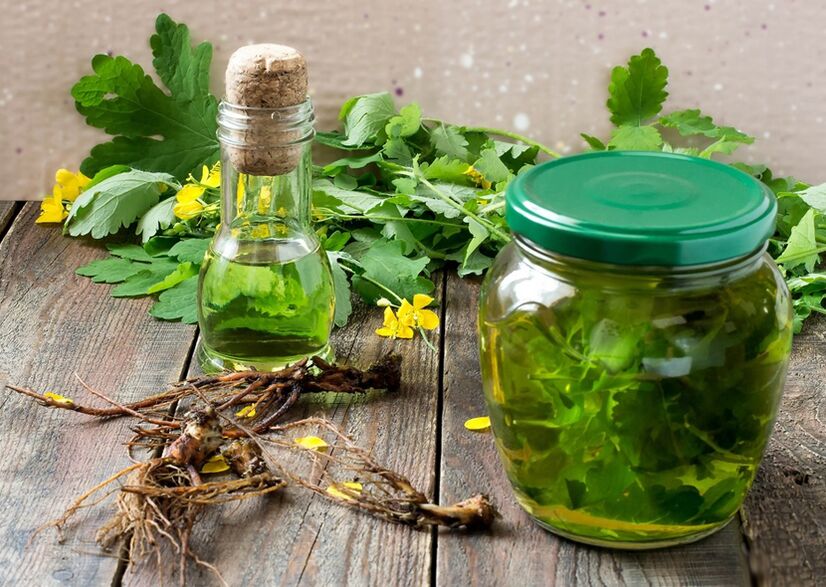 Infusion of celandine to combat papillomas